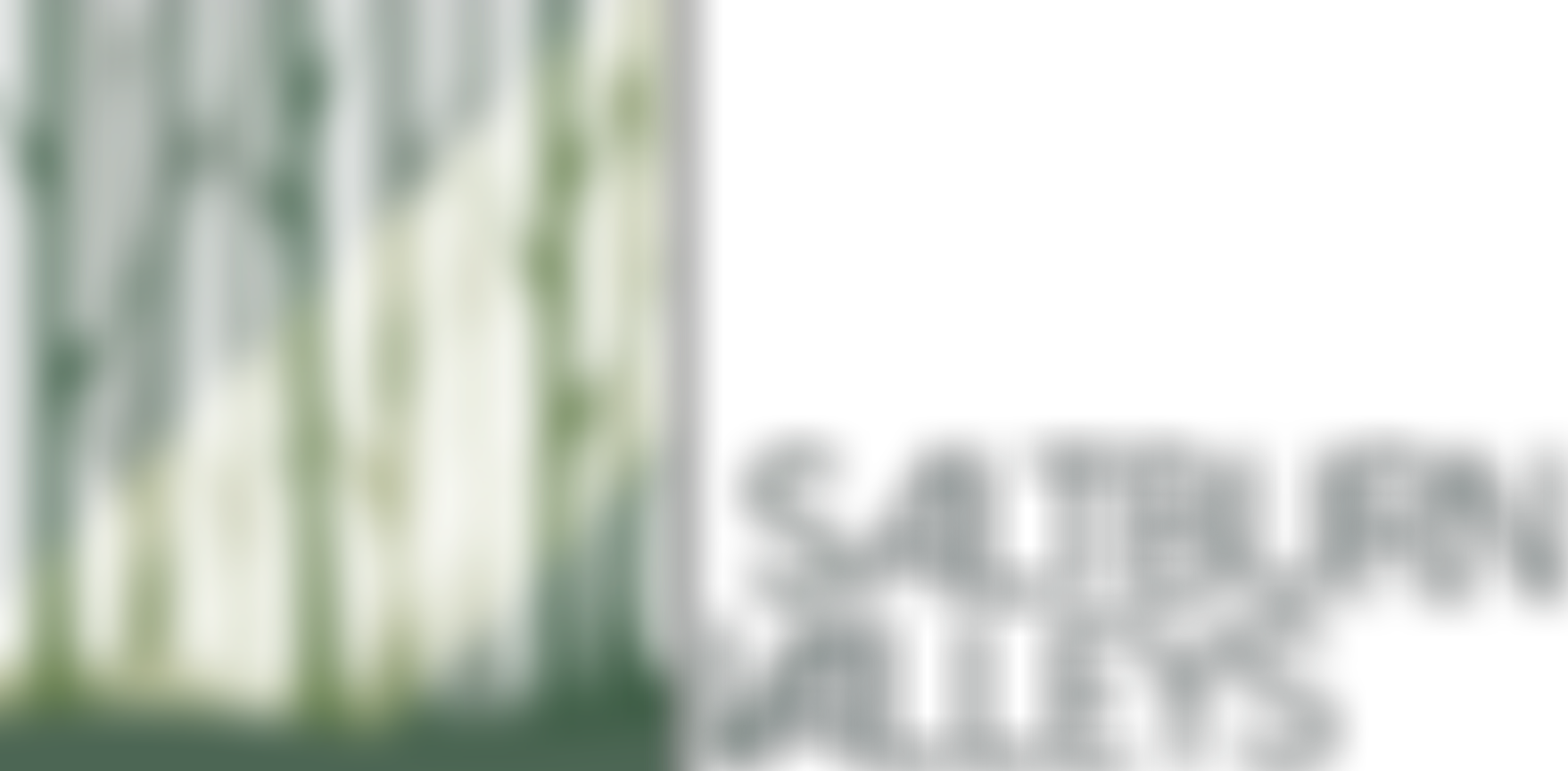 Saltburn Valleys Cio | Charici