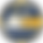 Bexhill-On-Sea Lions Club (Cio) | Charici