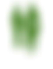 Chalkdown Group Riding For The Disabled Association | Charici