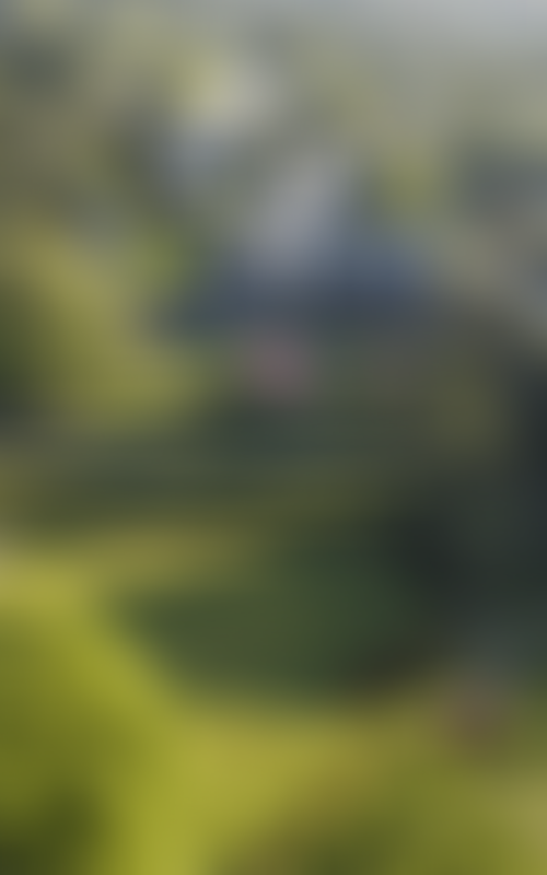 The Dartington Hall Trust | Charici
