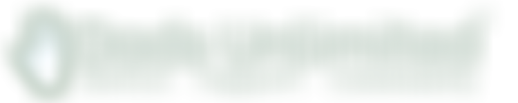 Dads Unlimited | Charici