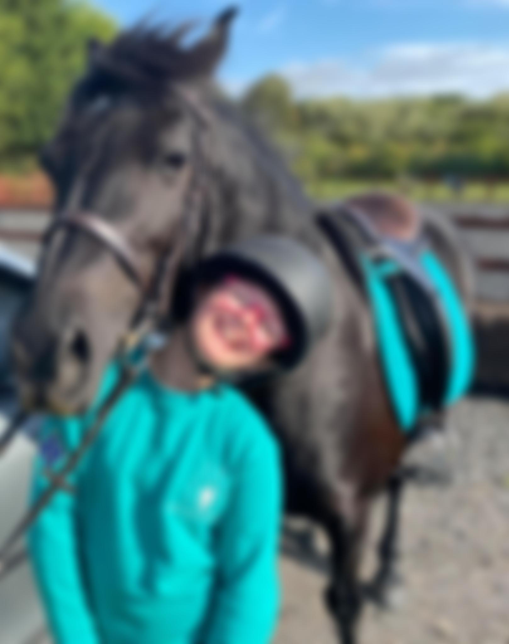 East Liverpool Riding For The Disabled Association Incorporating Carriage Driving | Charici