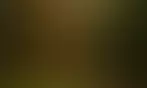 Hale Village Hall New Forest | Charici