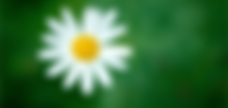 The Daisy Chain Project | Charici