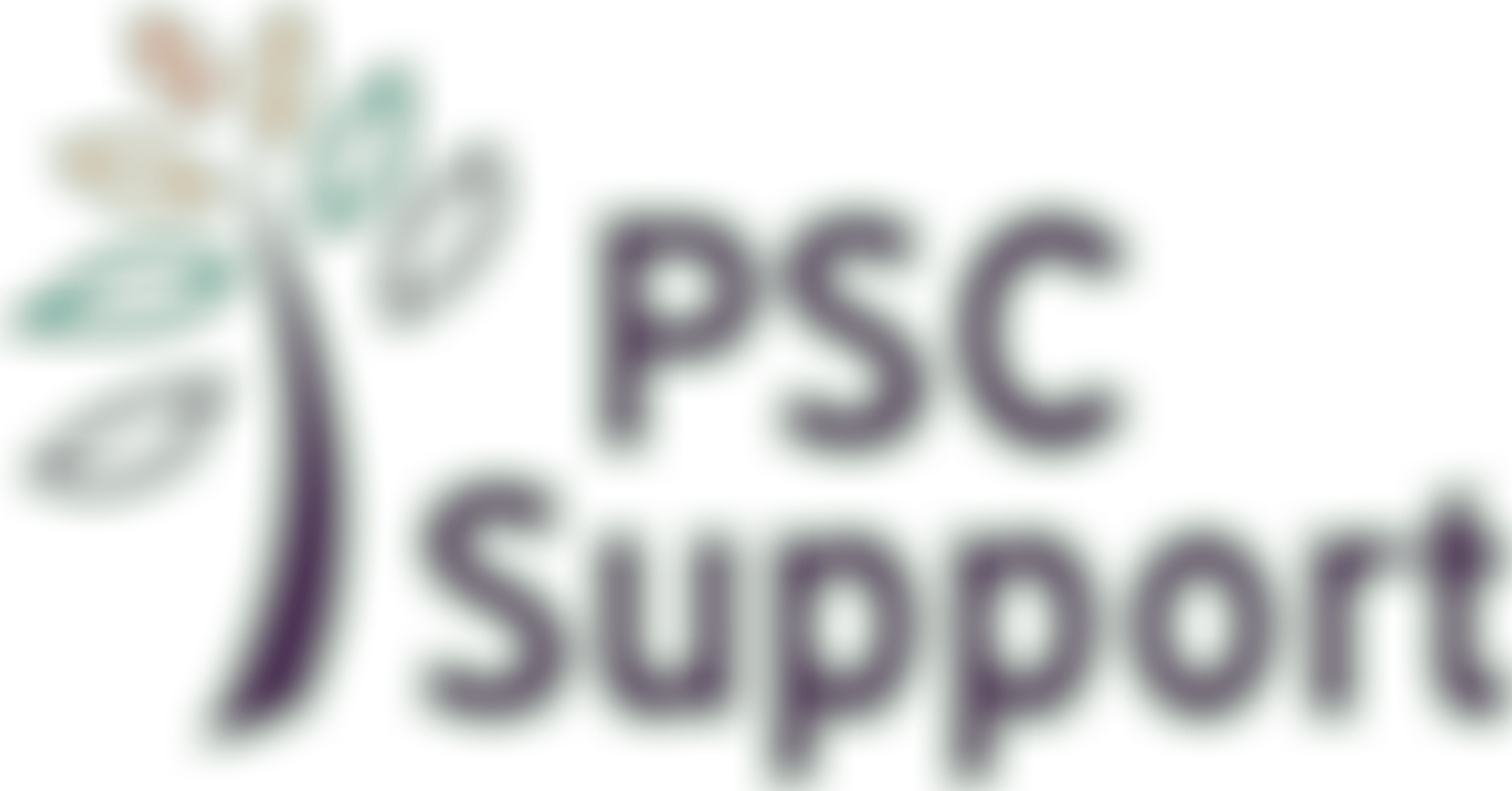 Psc Support | Charici