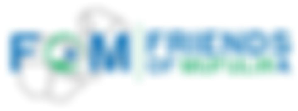 Friends Of Mufulira | Charici