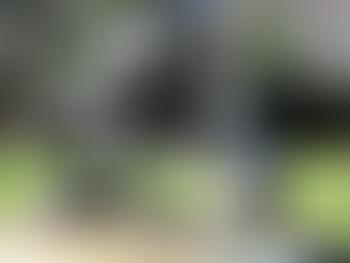 The Arts Society Dulwich | Charici