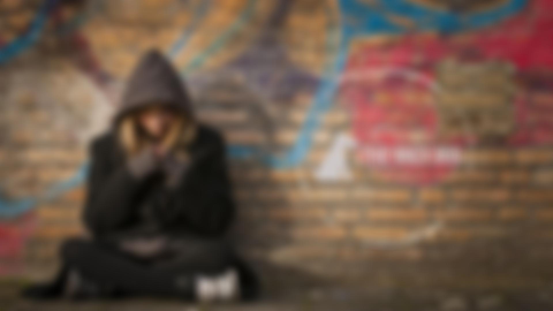 The Grey Dog Trust | Charici