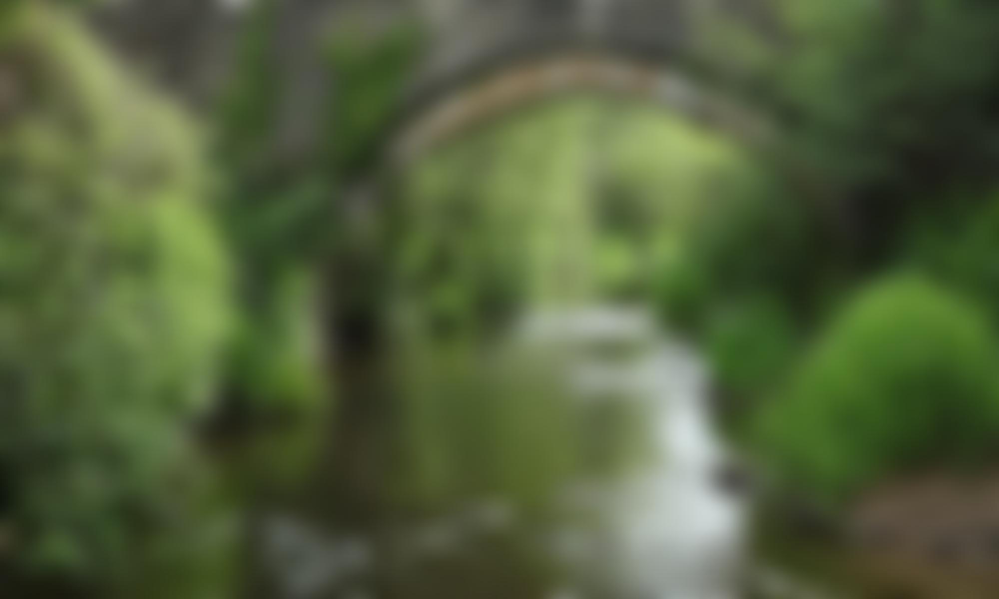 Bruecrew | Charici