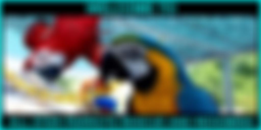 All Star Parrots Rescue And Rehoming | Charici