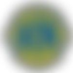 Wotton Under Edge Lions Club(Cio) | Charici