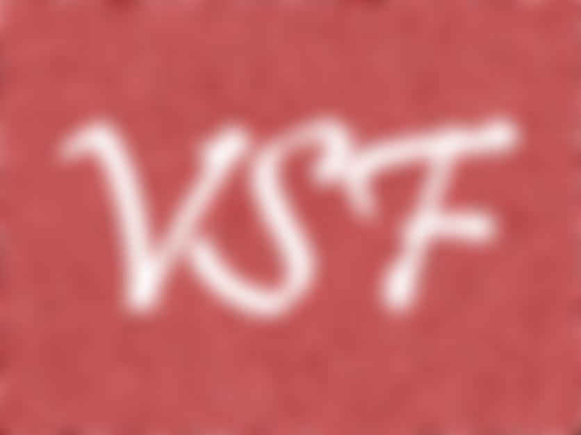 The Visual Snow Foundation | Charici