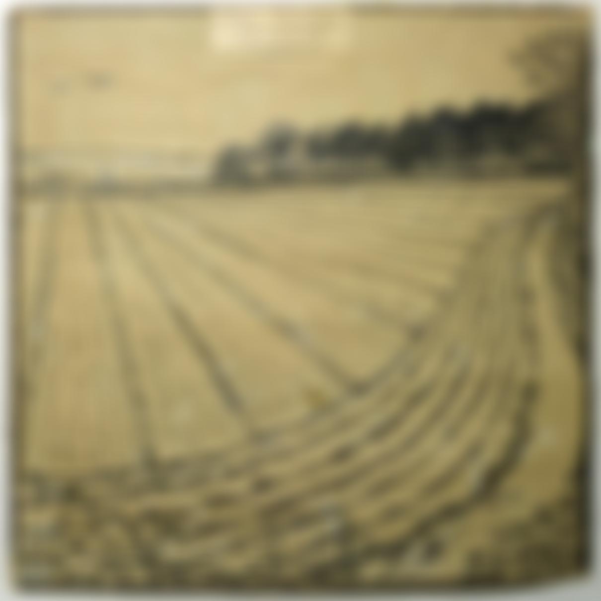 Hitchin Historical Society | Charici