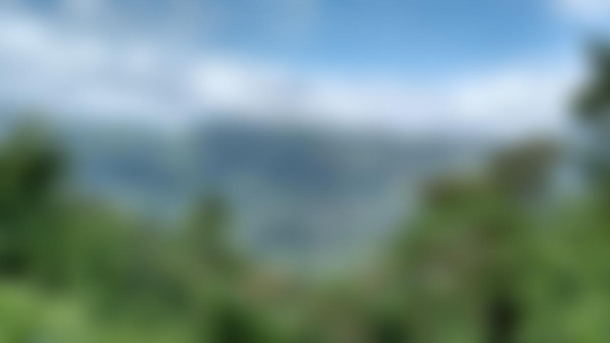 Reach Bwindi | Charici