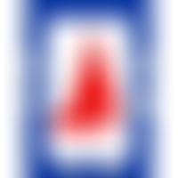 Visually Impaired Sailing Association | Charici