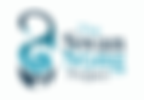 The Swan Song Project | Charici