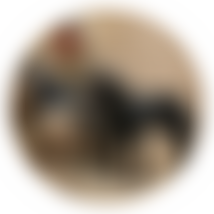 K9 Heroes | Charici