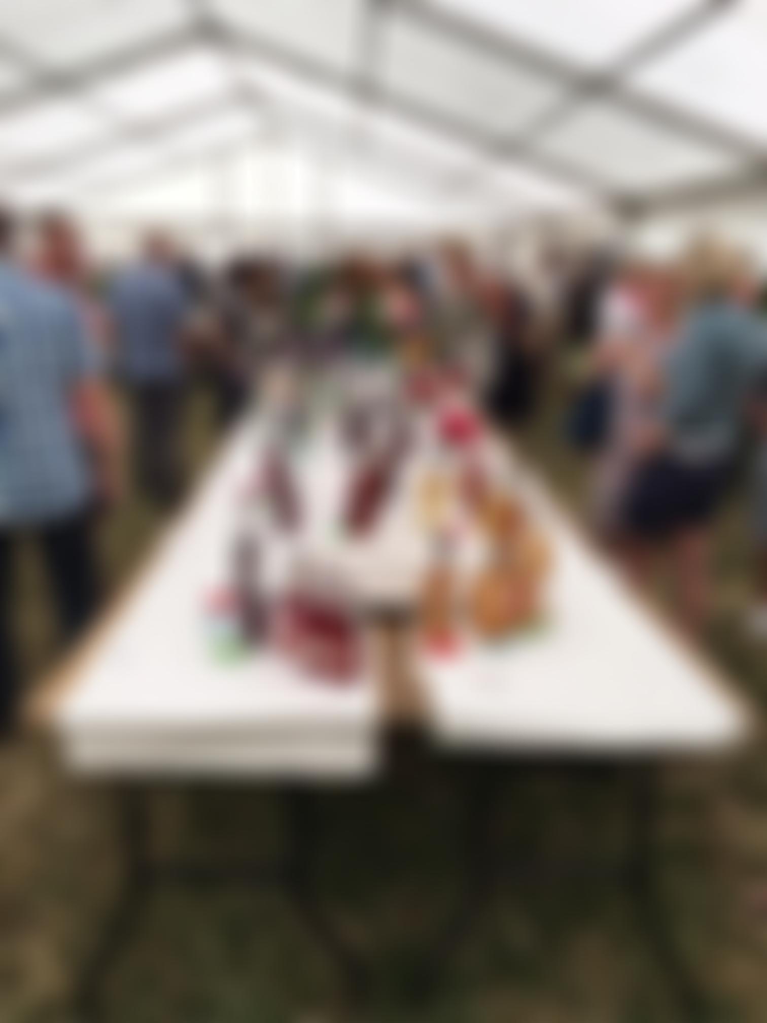 Bishop Wilton Show | Charici