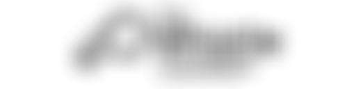 The Whistle Foundation | Charici