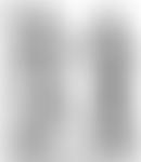 Guildford Classical Association | Charici