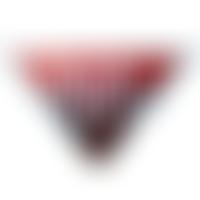 The Alvis Archive Trust | Charici