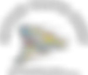 Active Youth Zone | Charici