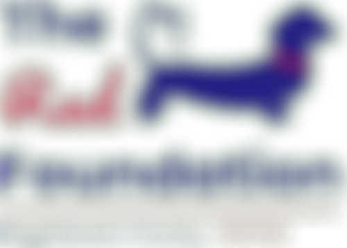 The Red Foundation | Charici