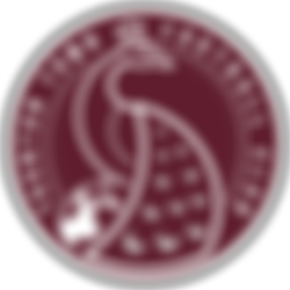 Taunton Youth Fc Community Trust | Charici