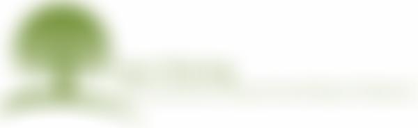 The Friends Of Sun Rising | Charici