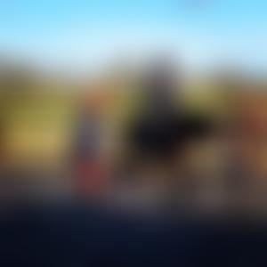 Norfolk Coast Riding For The Disabled | Charici