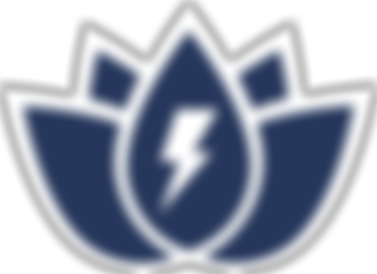 Lotus Project | Charici