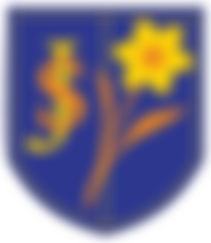 St Joseph's Catholic Primary School Parent, Teachers And Friends Association | Charici