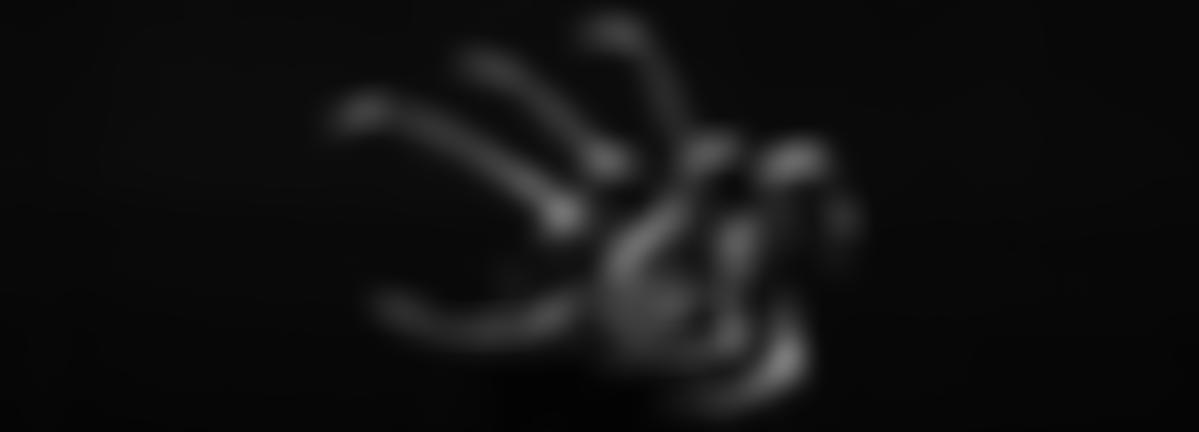 South West Novice Dance Festival | Charici