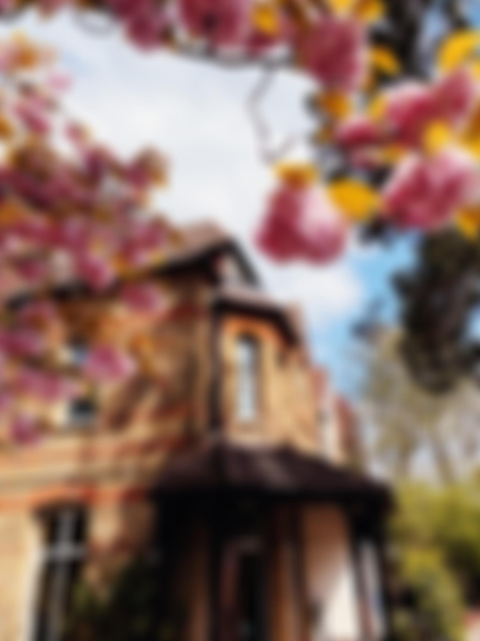 The Norwegian School In London Limited | Charici