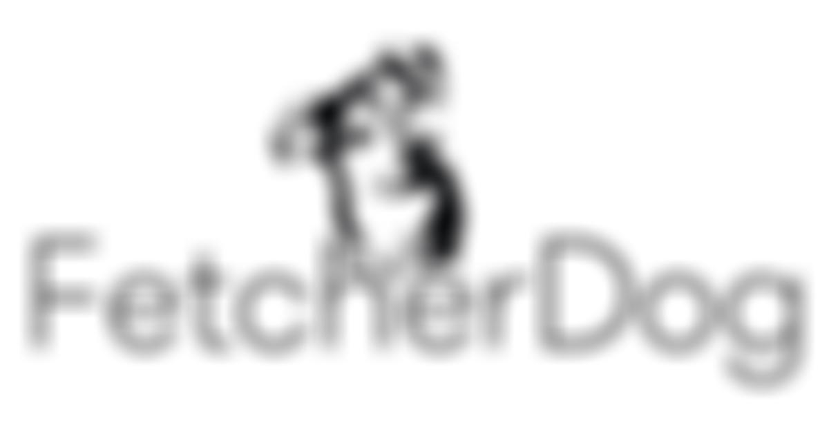 Fetcher Dog | Charici