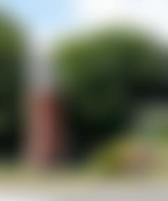 Lytchett Minster & Upton Beacon Community Association | Charici