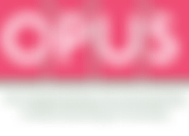 Opus - An Organisation For Promoting Understanding Of Society | Charici