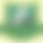 Broadgate Primary School Pta | Charici