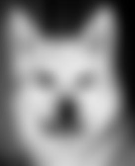 The Dog Team UK | Charici