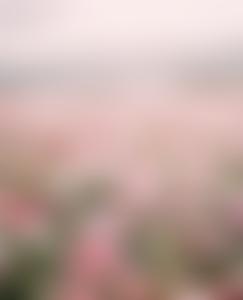 The Church In Norwich | Charici