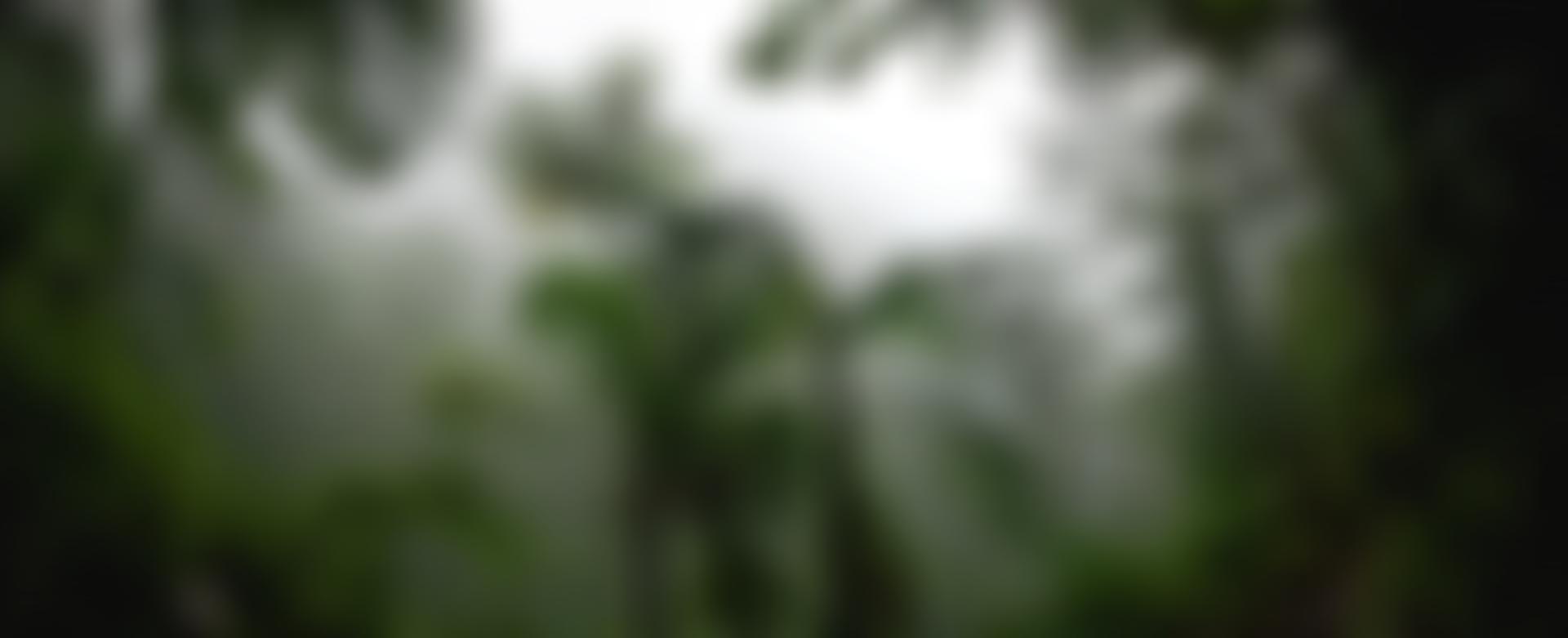 International Initiative For Theoretical Ecology | Charici