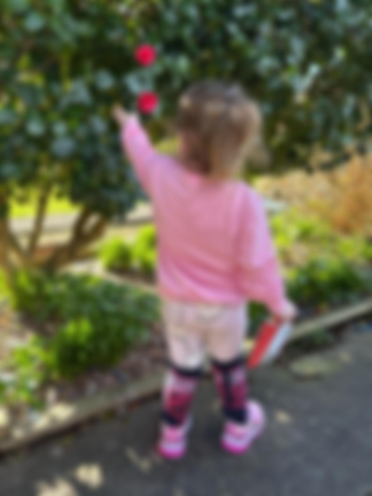 Hereditary Fructose Intolerance (Hfi) UK | Charici