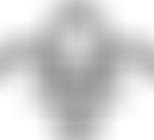 1St Gotham Scout Group | Charici