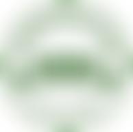 Chiddingstone Nursery School Charitable Incorporated Organisation | Charici