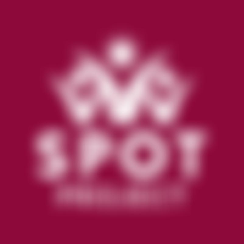Spot Project | Charici