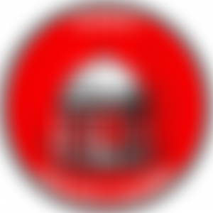 Tewit Silver Band | Charici