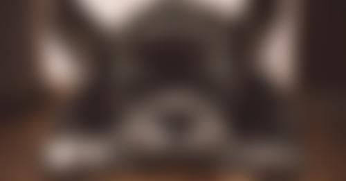 Floof UK French Bulldog Rescue | Charici