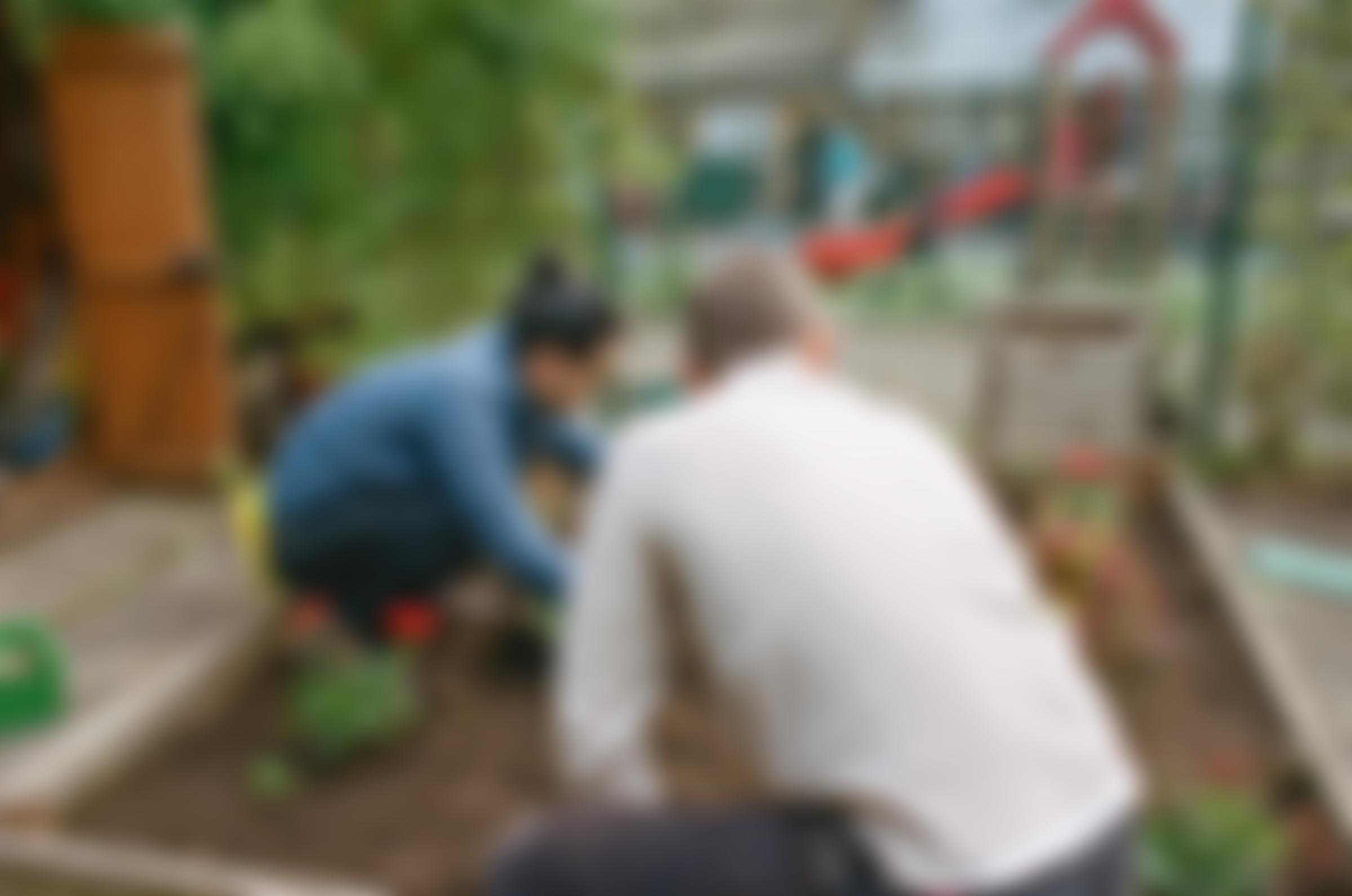 Joseph Rowntree Foundation | Charici