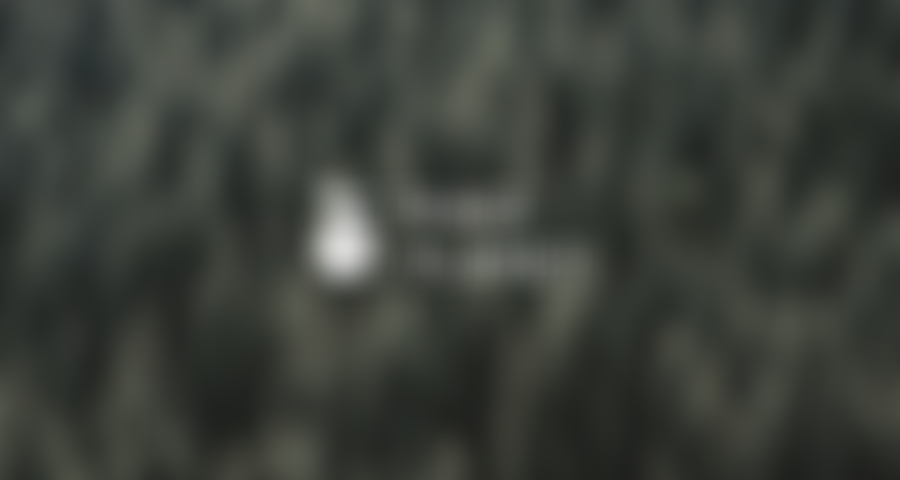 Trace Planet | Charici