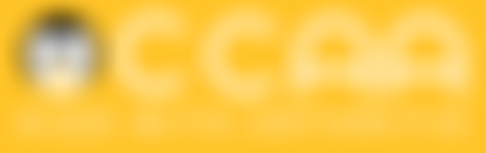 Children's Chronic Arthritis Association | Charici